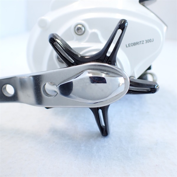 １２レオブリッツ３００Ｊ